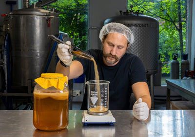 Two ways to brew kombucha: Pasteurised vs. Unpasteurised