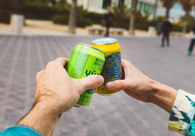 Yugen Kombucha for dummies