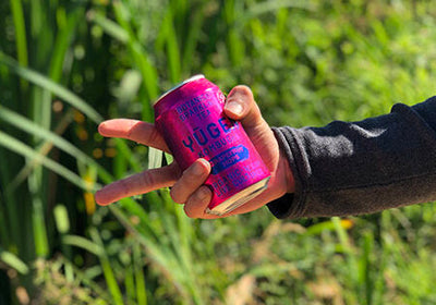 Tea + sugar + juice + herbs = ingredients of Yugen Kombucha