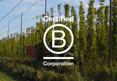 Yugen is now a Certified B Corp - a milestone worth celebrating