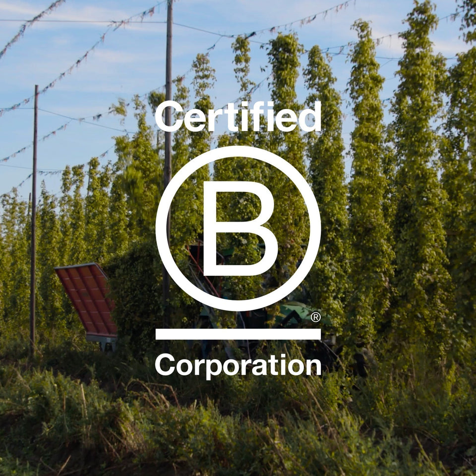 Yugen is now a Certified B Corp - a milestone worth celebrating