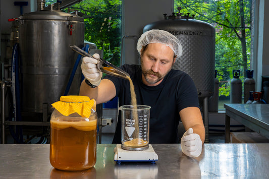 Two ways to brew kombucha: Pasteurised vs. Unpasteurised