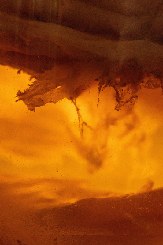 Yugen fully commits to unpasteurized kombucha