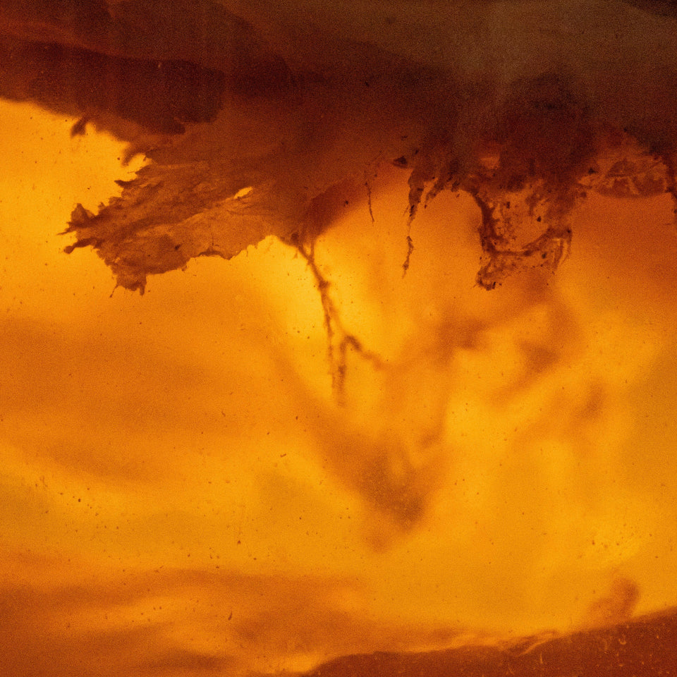 Yugen fully commits to unpasteurized kombucha