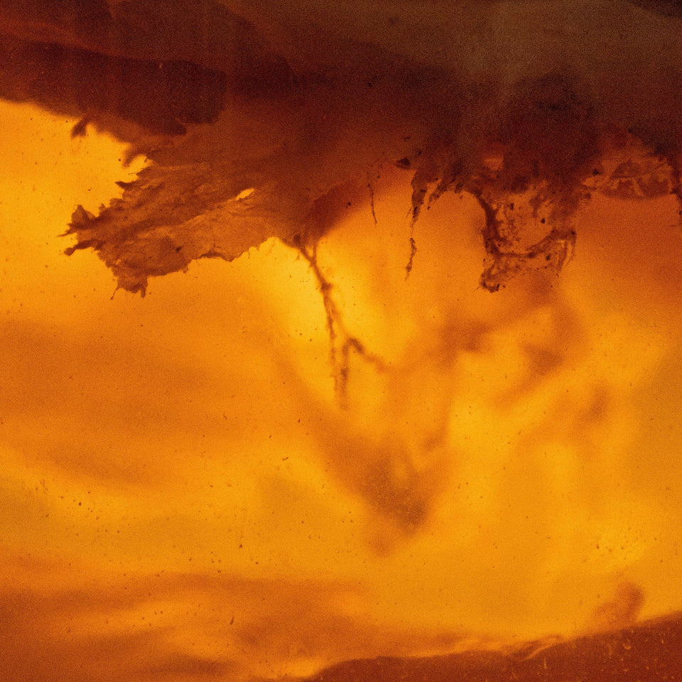 Yugen fully commits to unpasteurized kombucha