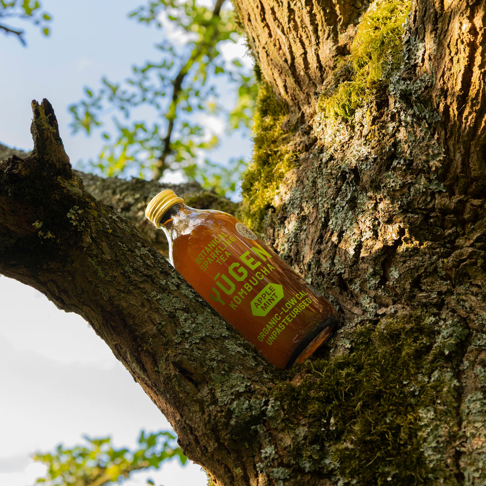 Together with Yugen towards more sustainability