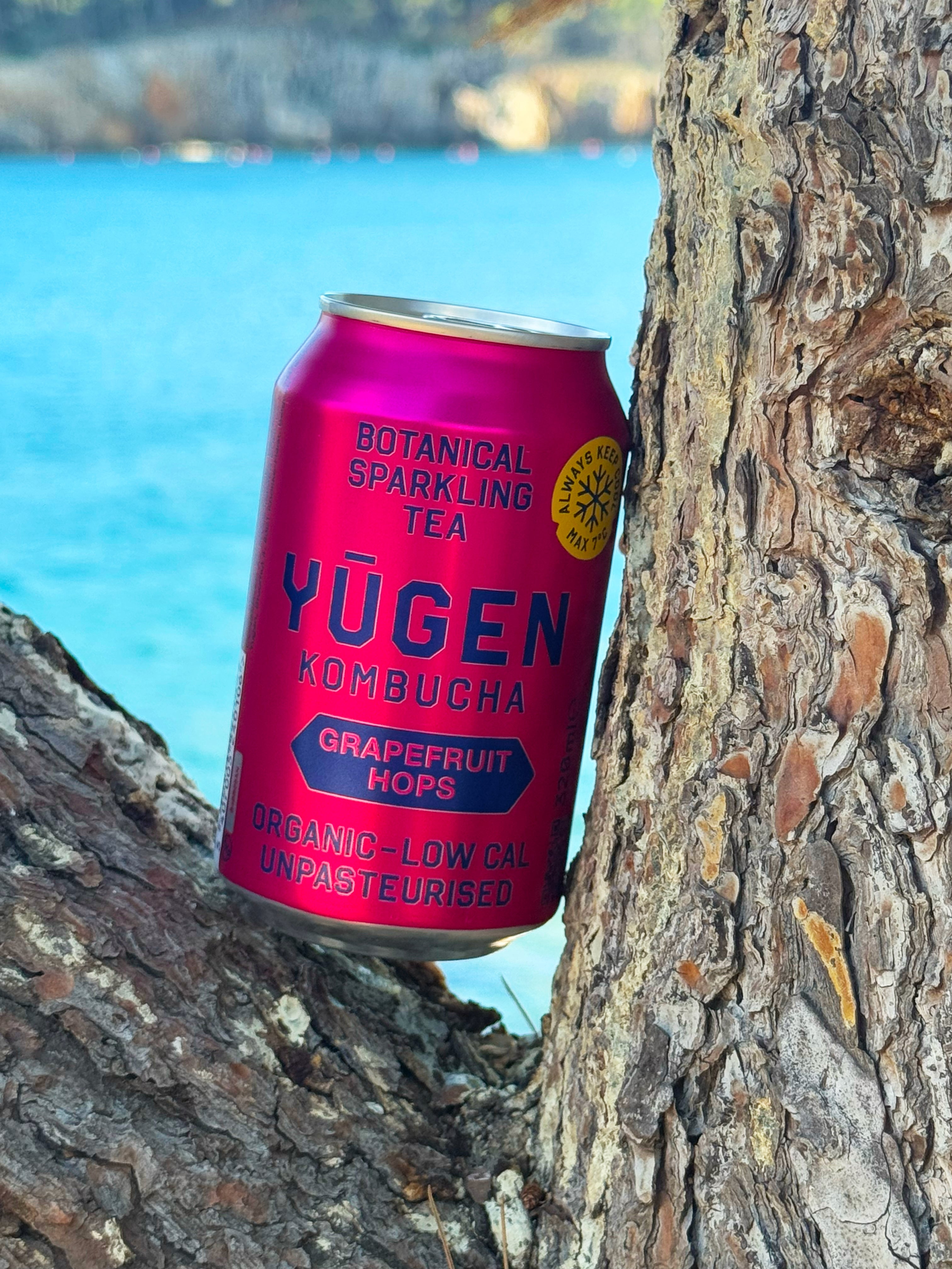 The gift box of Yugen Kombucha – Yugen Drinks