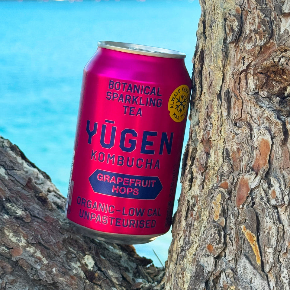 Yugen, not your average kombucha