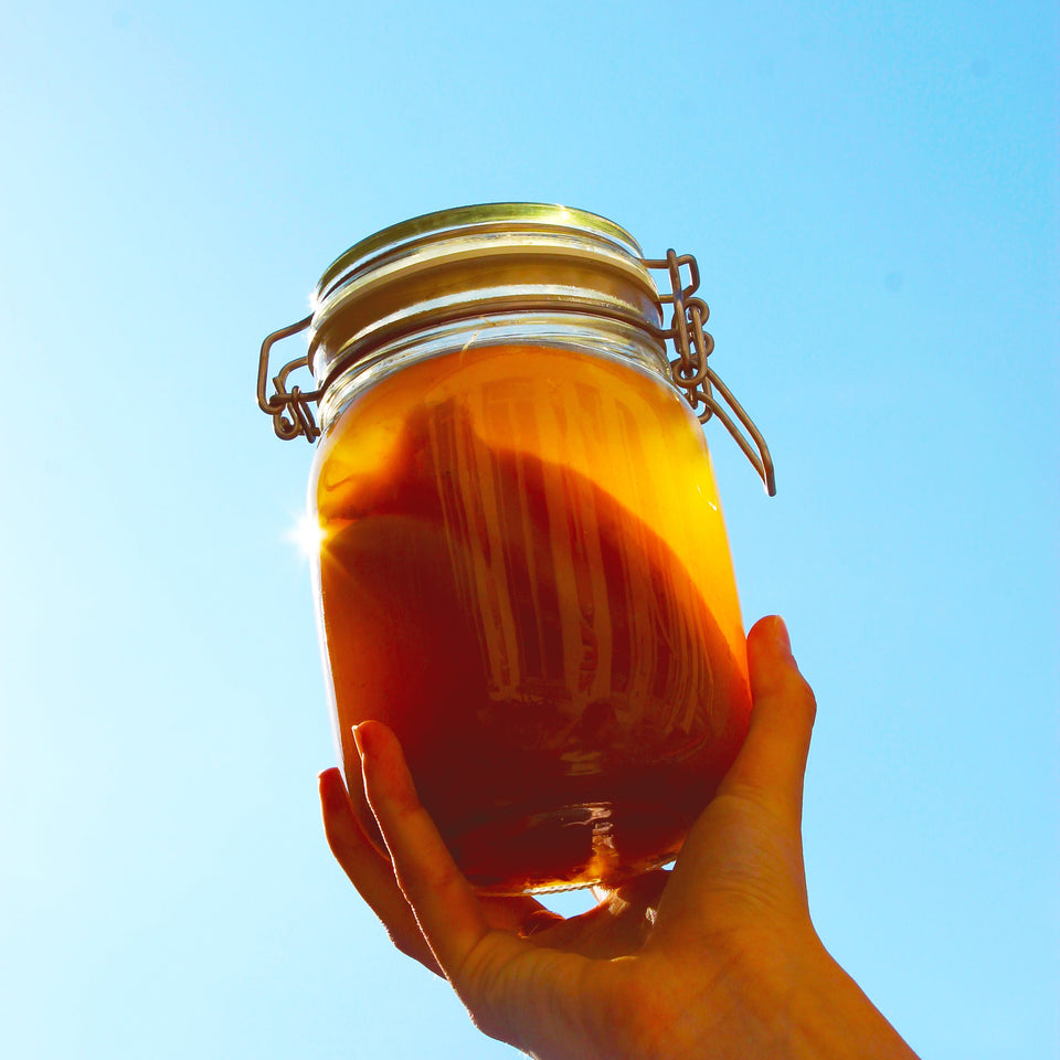 The fermentation process of Yugen Kombucha