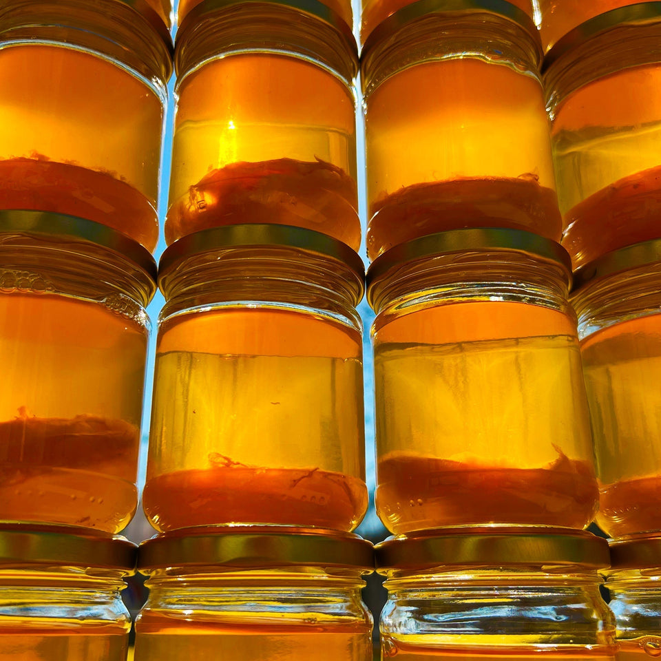 Brew your own kombucha