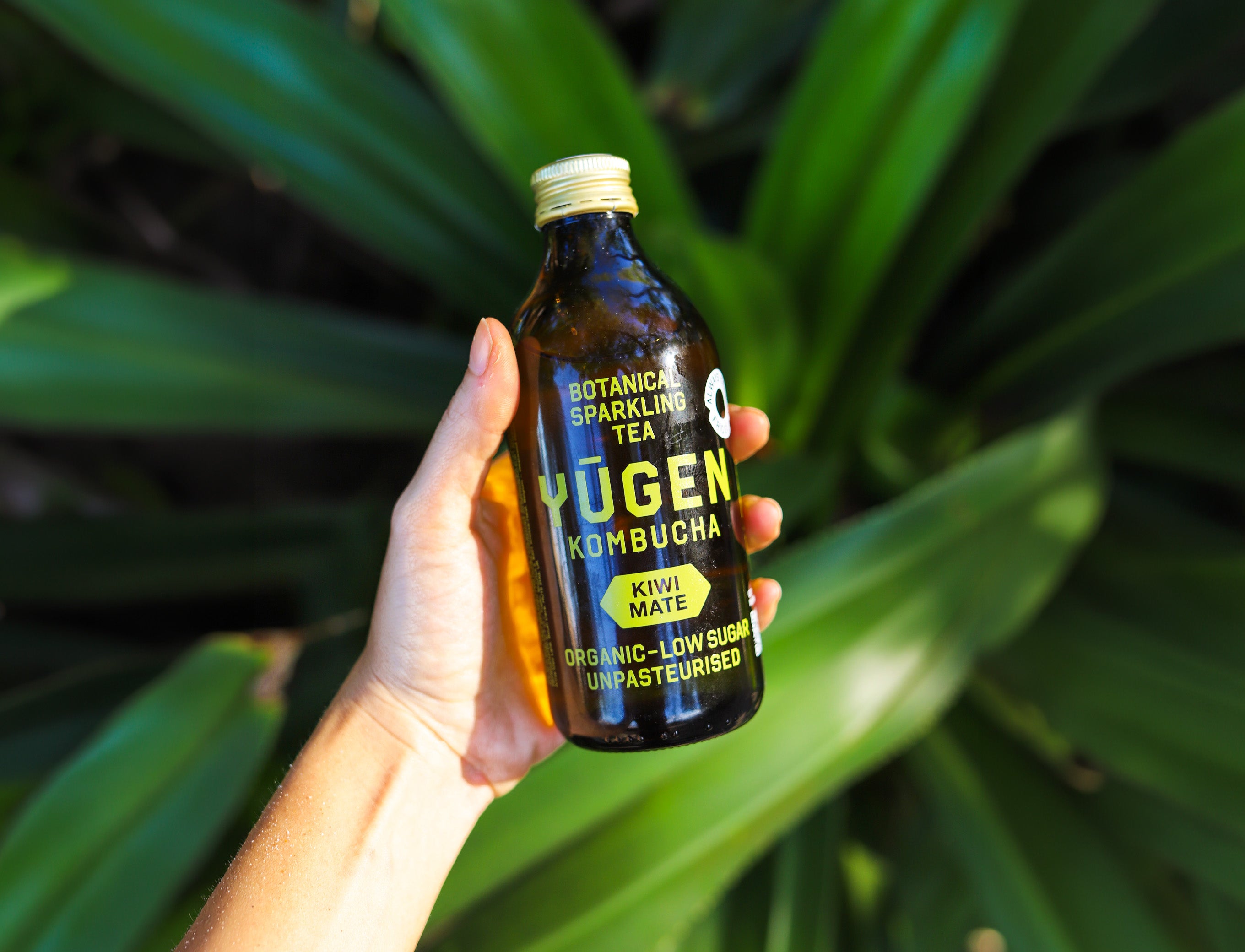 Kiwi Maté Kombucha Bottles | Yugen Drinks