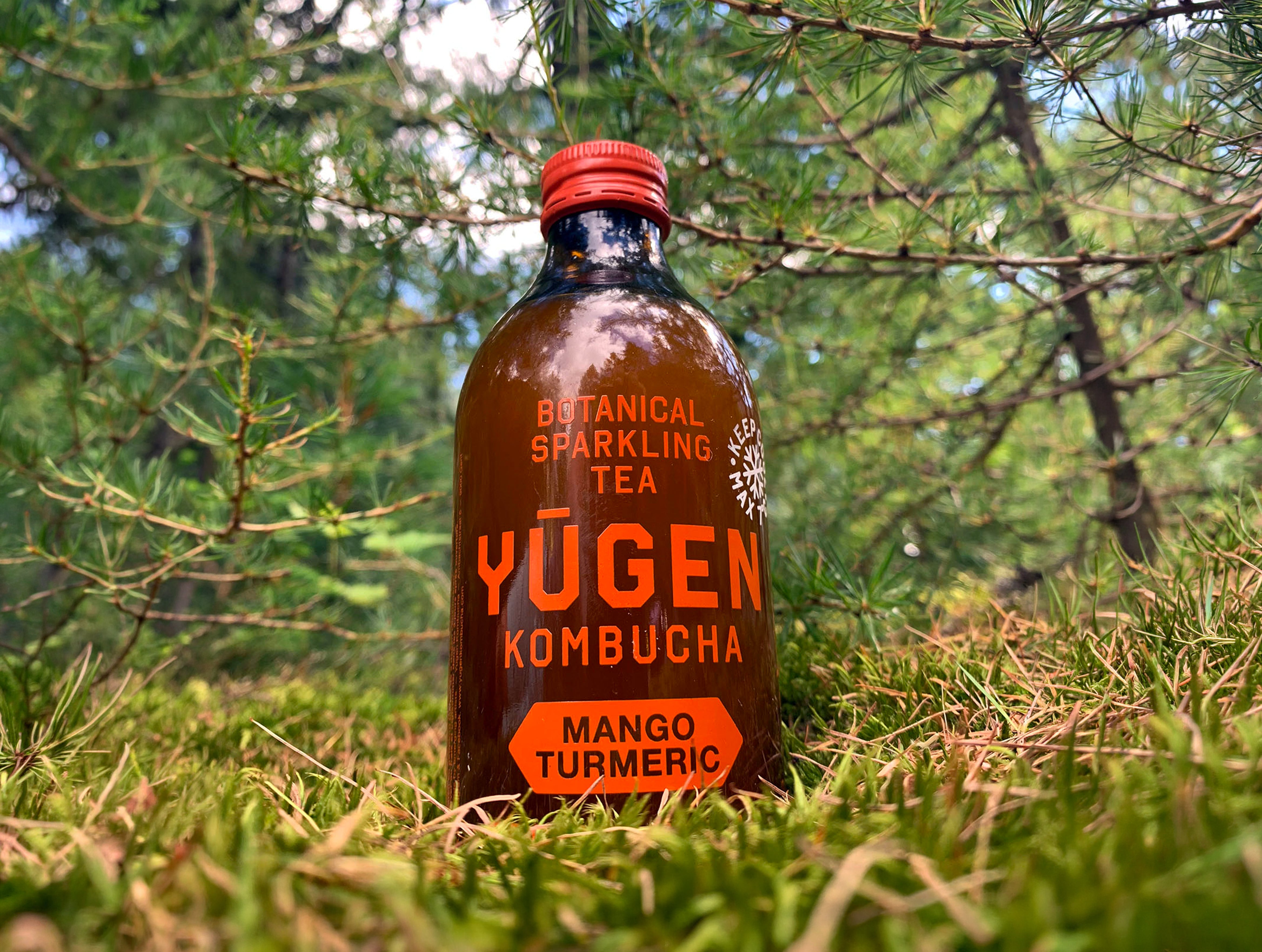 Mango Turmeric Kombucha Bottles | Yugen Drinks